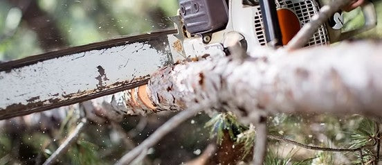 Arboriculteur