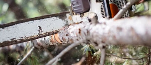 Arboriculteur