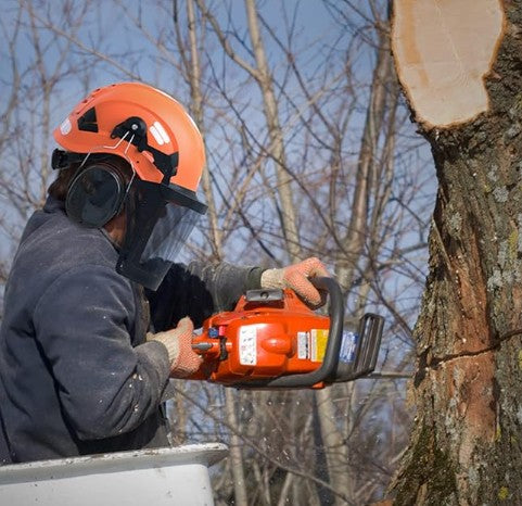 Casque de sécurité forestier
